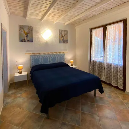 Casa Mambo *
