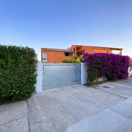 Casa Mambo *