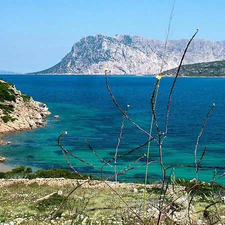 Casa Mambo San Teodoro (Sardinia)